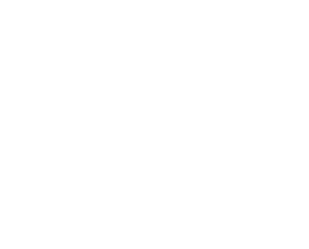 Sassen, Viviane  Galerie Cyprian Brenner
