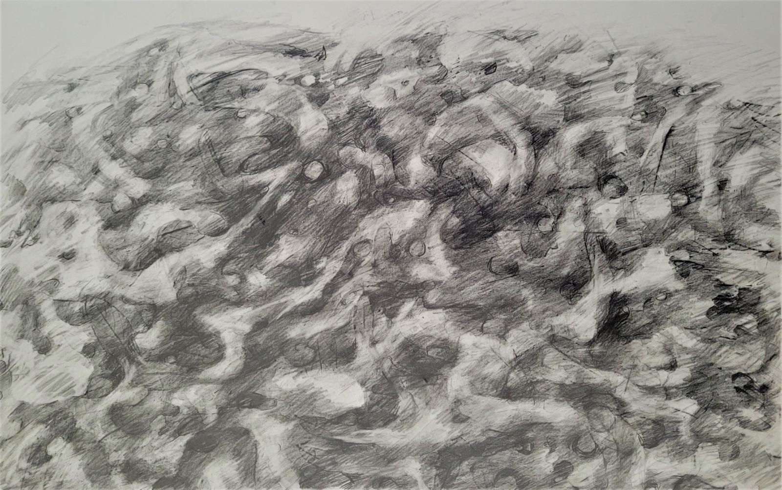 Emil Cimiotti, Waldboden, 1976, Zeichnung Bleistift auf Papier, 36 cm x 56 cm, Preis auf Anfrage, SüdWestGalerie