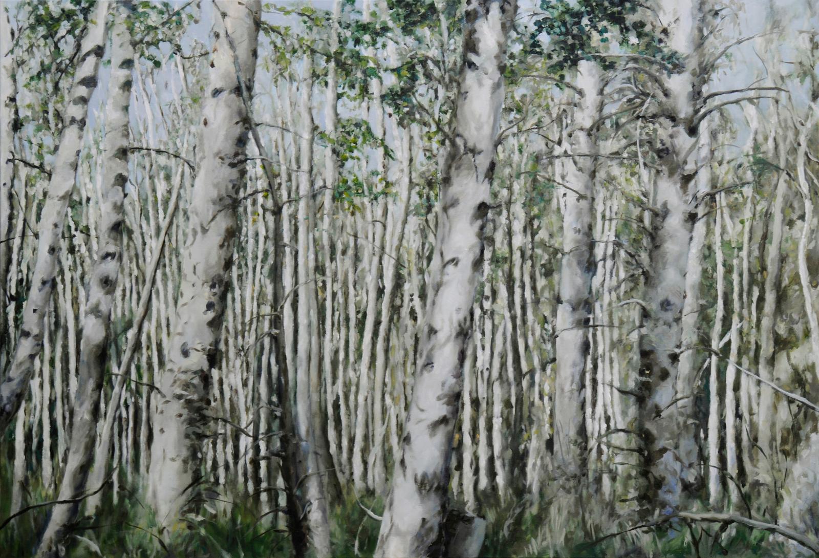 Franz Baumgartner, Birkenwald, 10.2014, Öl auf Leinwand, 120 cm x 175 cm, Preis auf Anfrage, Galerie Cyprian Brenner