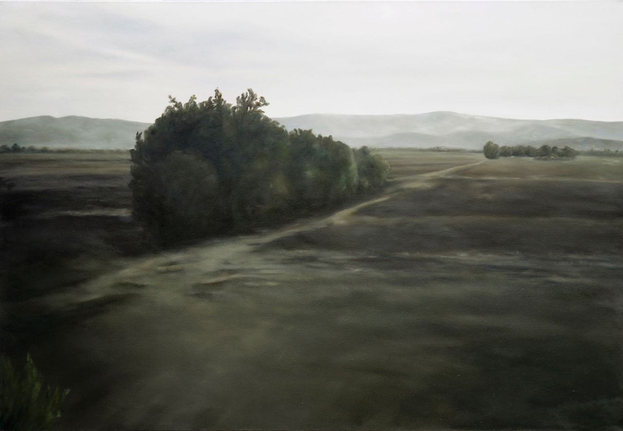 Franz Baumgartner, Acker bei Venturina, 2003, Öl auf Leinwand, 121 cm x 175 cm, Preis auf Anfrage, baf040kü