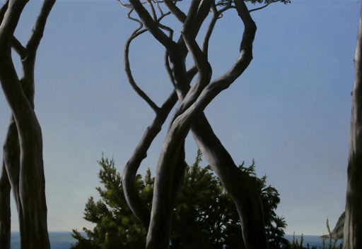 Franz Baumgartner, baratto, 9.2008, Öl auf Leinwand, 121 cm x 175 cm, Preis auf Anfrage