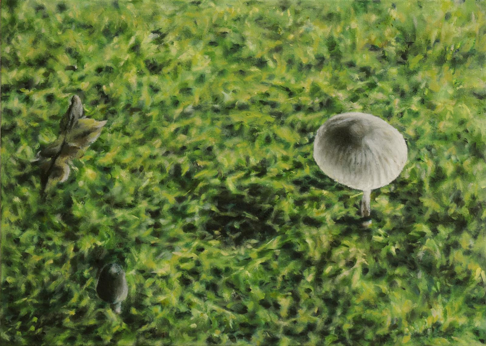 Franz Baumgartner, kleine Welt, 9.2023, Öl auf Leinwand, 38 cm x 53 cm, Preis auf Anfrage