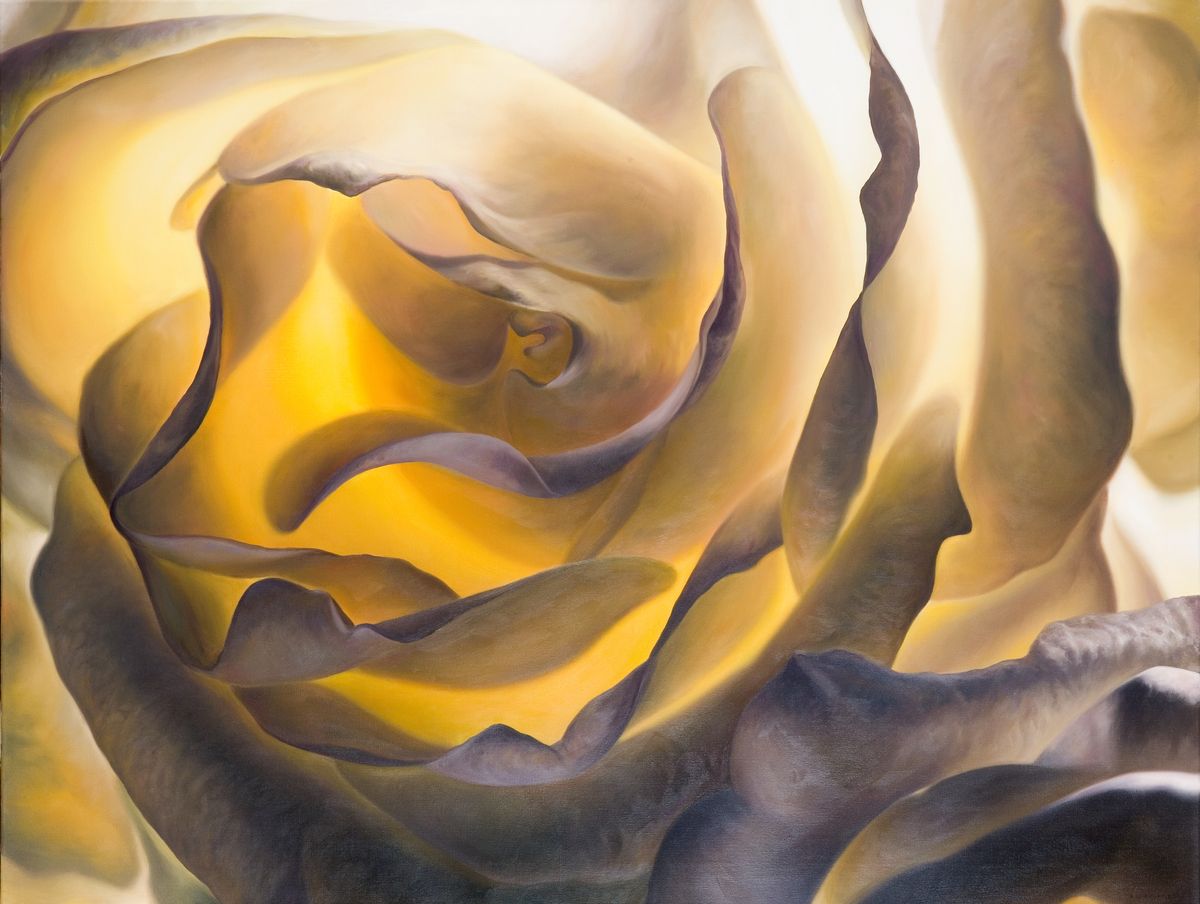 Hermann Försterling, Rose im Gegenlicht, Öl auf Leinwand, 120 x 160 cm, derzeit nicht verfügbar, Galerie Cyprian Brenner