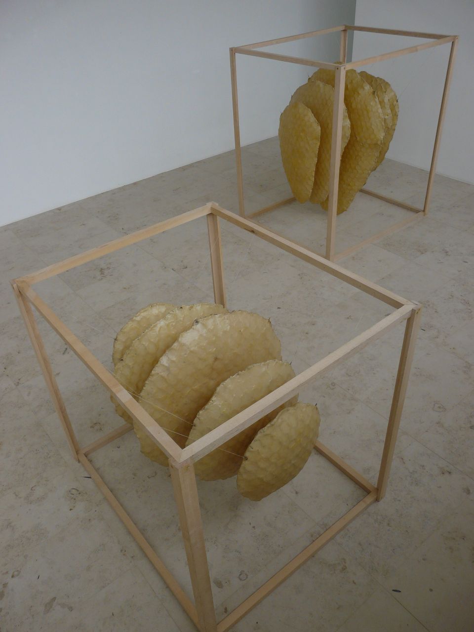 Jeanette Zippel, Hängeobjekt , Wabenbau 1 und 2, 2001, 150 cm x 110 cm x 160 cm