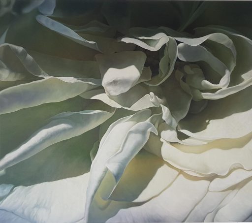 Hermann Försterling, Rose im Licht, Öl auf Leinwand, 140 x 160 cm, derzeit nicht verfügbar, föh010ko