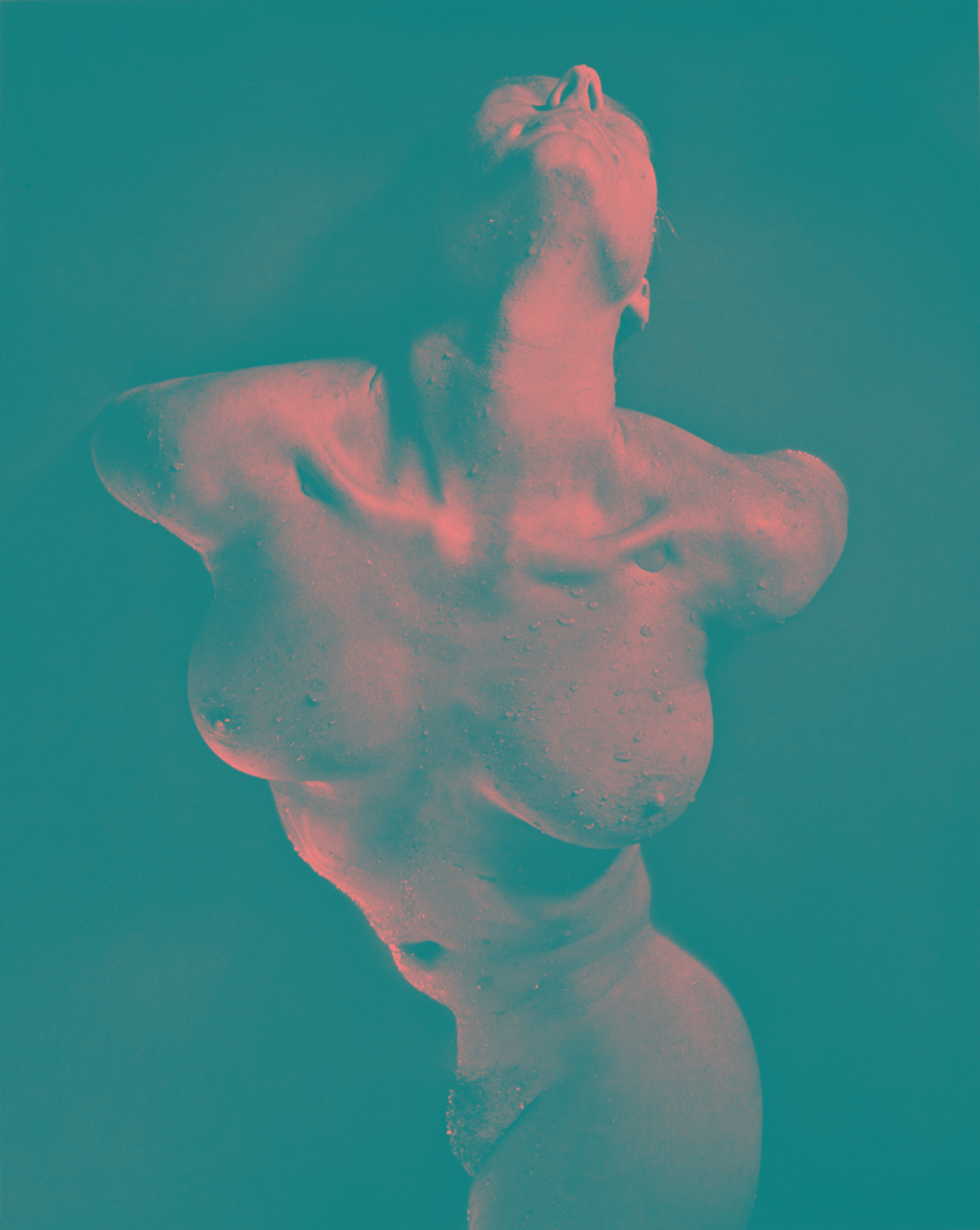 Hermann Försterling, Sophie 2, Heliogravüre, Auflage 8, 60 cm x 50 cm, derzeit nicht verfügbar Galerie Cyprian Brenner