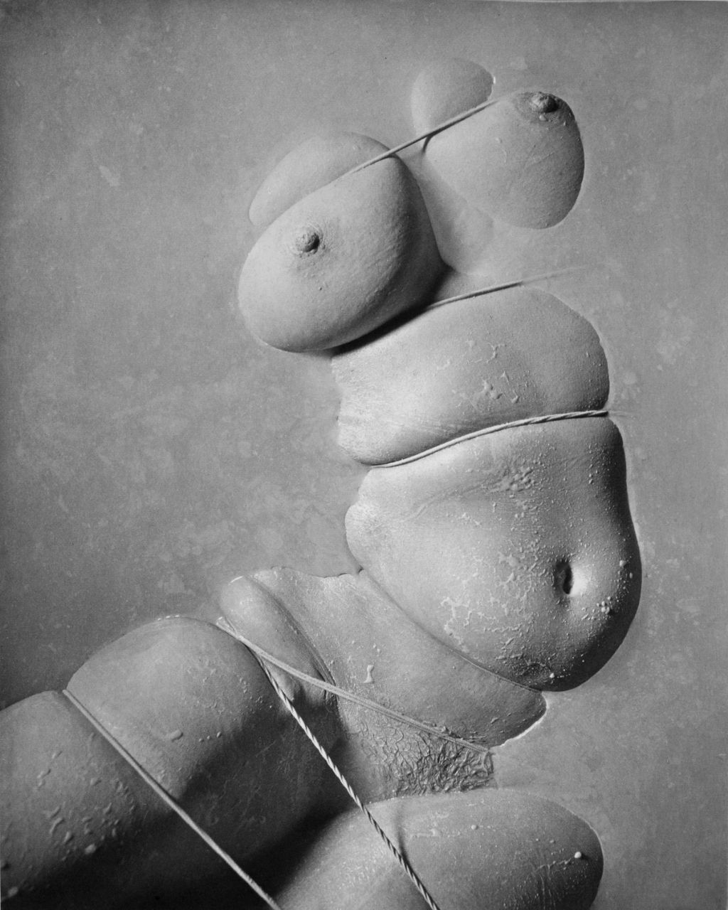 Hermann Försterling, Torso gebunden, 03-2004, Heliogravüre, 8 Exemplare, 39 cm x 31 cm , derzeit nicht verfügbar, Galerie Cyprian Brenner