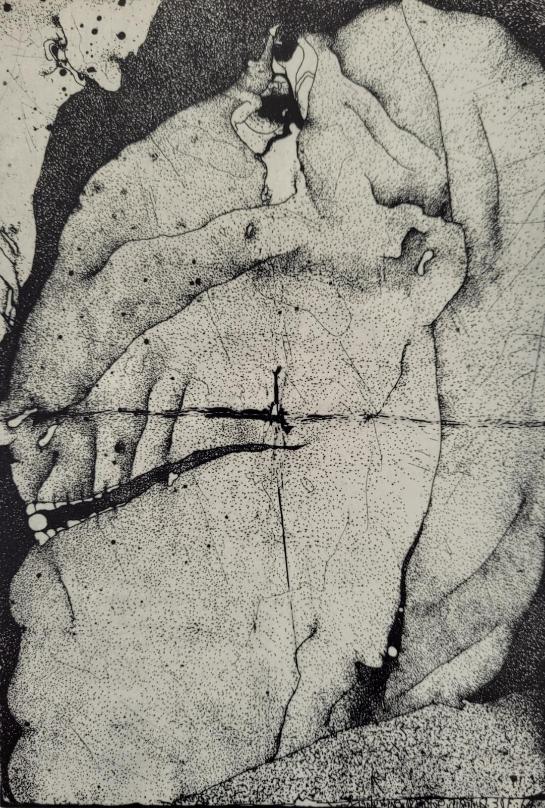 Horst Janssen, Geknickter Perlenprüfer, 1964, Radierung, 39,4 cm 26,7 cm, 50 nummerierte Exemplare, signiert, Preis auf Anfrage, SüdWestGalerie