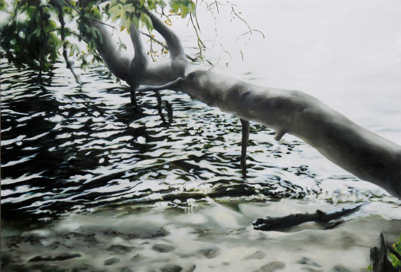 Franz Baumgartner, Schattenspiel, 8.2014, Öl auf Leinwand, 120 cm x 175 cm, Galerie Cyprian Brenner