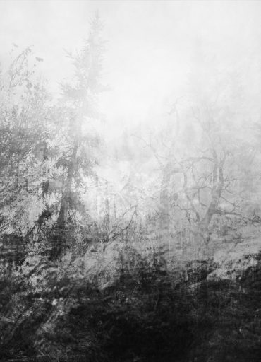 Daniel Sigloch, Waldstück 1, 2021, Mischtechnik auf Aquarellpapier, 12 x 17,5 cm, Preis auf Anfrage