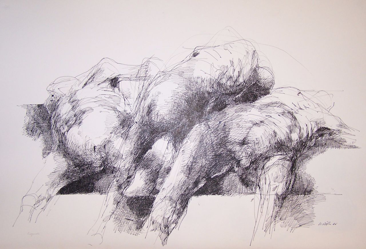 Roland Dörfler, Liegende, 1966, Federzeichnung, 62 cm x 90 cm, dör011kü, Preis auf Anfrage, SüdWestGalerie