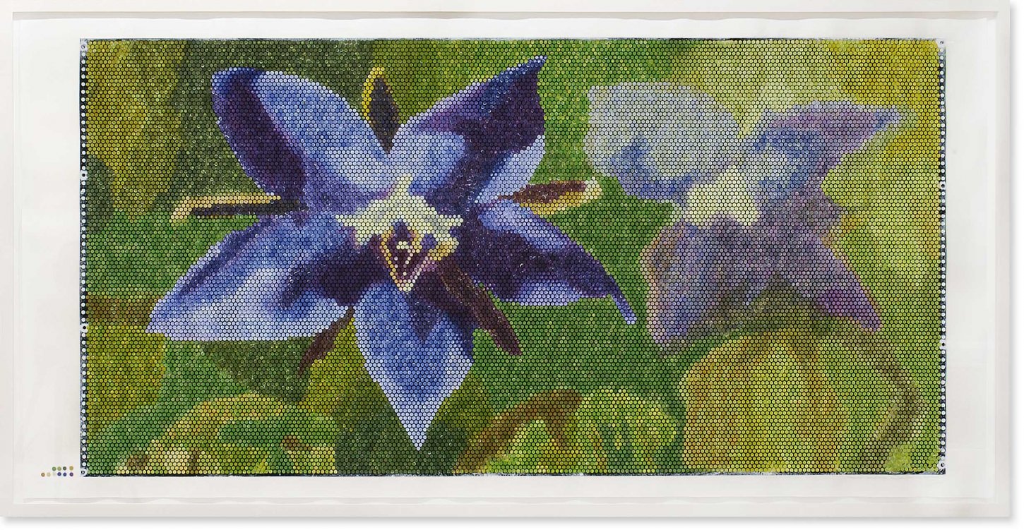 Jeanette Zippel , Bienoptik Borretschblüte, 2005 , Hochdruck Kartoffeldruck Tusche auf Papier , 117 cm x 230 cm mit Rahmen , verkauft!, SüdWestGalerie