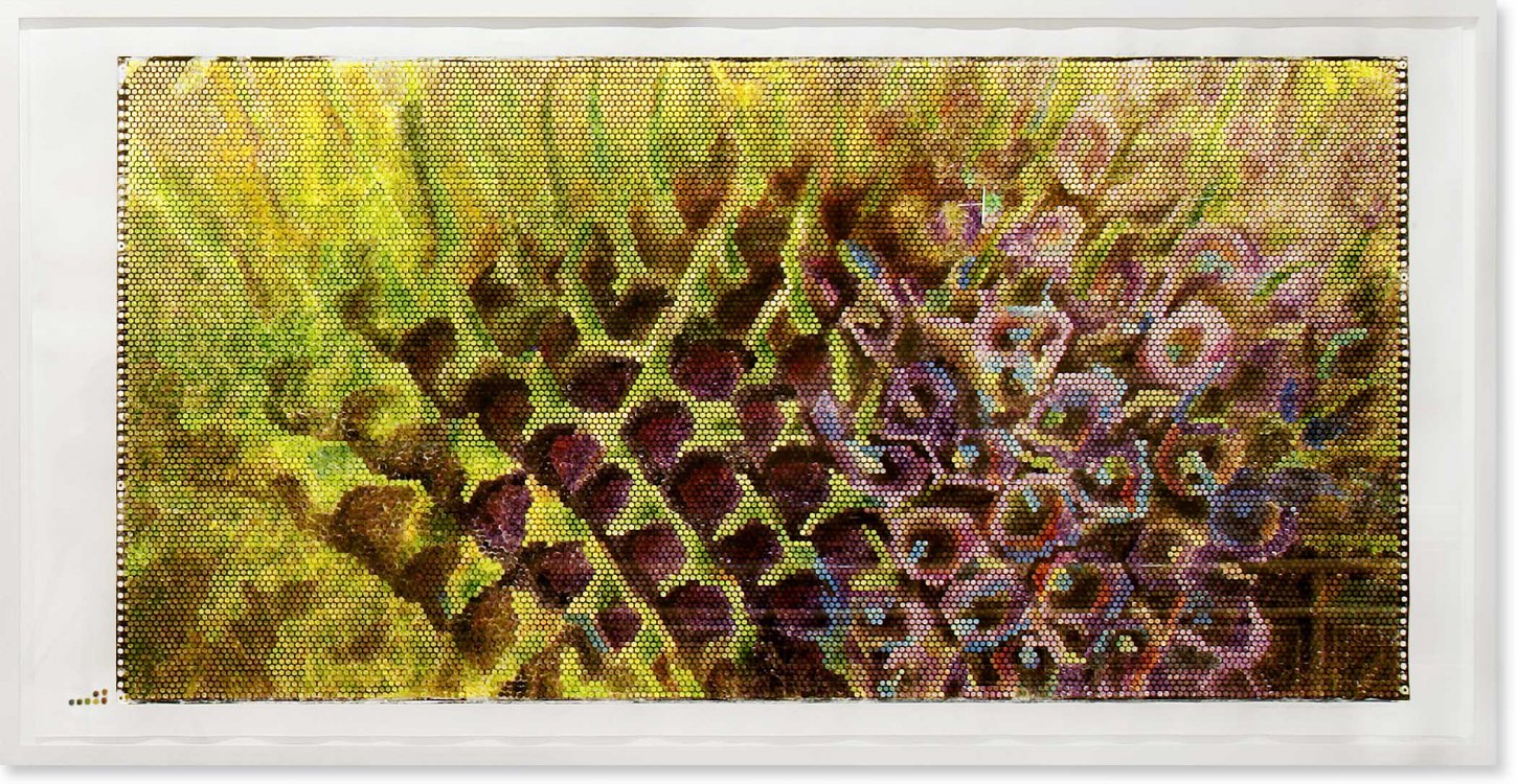 Jeanette Zippel , Bienoptik , Kardenblüte 2 , 2005 , Hochdruck Kartoffeldruck Tusche auf Papier , 117 cm x 230 cm, verkauft!, SüdWestGalerie