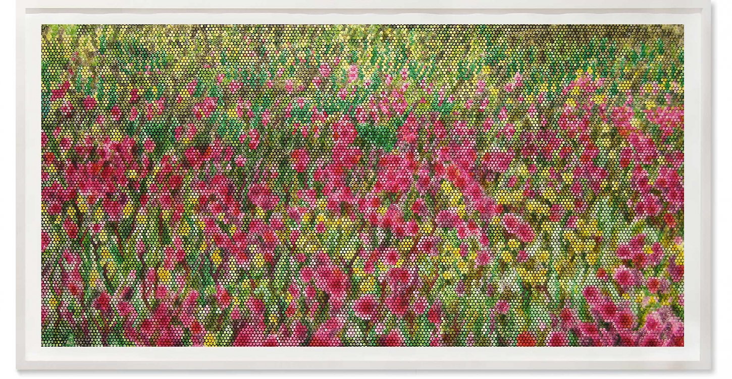 Jeanette Zippel , Bienoptik, Lichtnelkenwiese , 2015 , Hochdruck Kartoffeldruck Tusche auf Papier , 115 cm x 212 cm mit Rahmen , Preis auf Anfrage, SüdWestGalerie