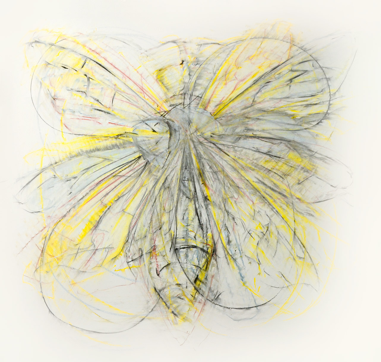 Jeanette Zippel, Flug-002, 2020, Kohle, Rötel, Pastell auf Papier, 140 x 130 cm, Preis auf Anfrage, SüdWestGalerie