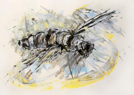 Jeanette Zippel, Flug-015, 2020, Tusche und Acryl auf Bütten, 60 x 83 cm, Preis auf Anfrage, SüdWestGalerie