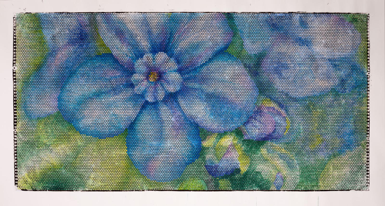 Jeanette Zippel, Kaukasisches-Veilchen, 2017, Hochdruck, Kartoffeldruck mit Tusche auf Papier, 110 x 210 cm mit Rahmen, Preis auf Anfrage, SüdWestGalerie