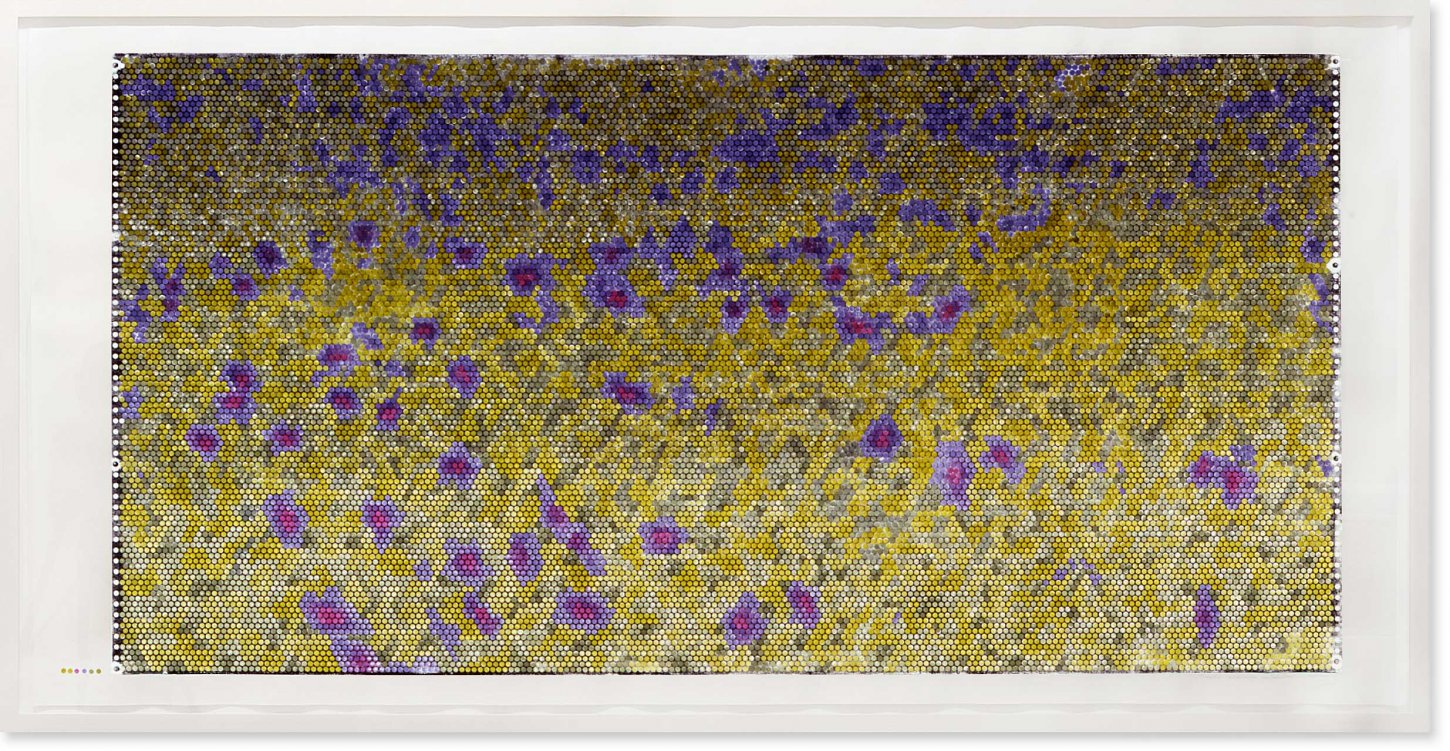 Jeanette Zippel , Kornblumenfeld , 2005 , Hochdruck Kartoffeldruck mit Tusche auf Papier , 117 cm x 230 cm, verkauft! , SüdWestGalerie