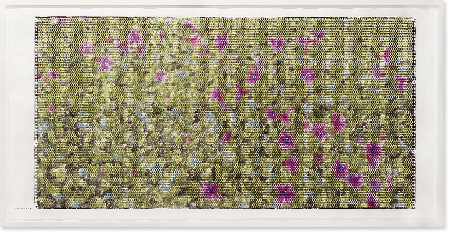 Jeanette Zippel, Lichtnelkenwiese , 2005 , Hochdruck, Kartoffeldruck mit Tusche auf Papier , 117 cm x 230 cm, verkauft! , SüdWestGalerie