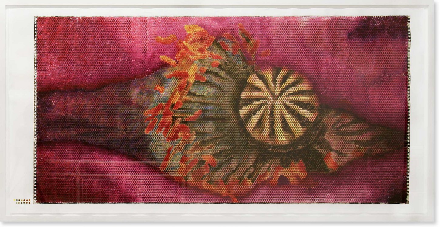 Jeanette Zippel , Mohnblüte , 2005 , Hochdruck Kartoffeldruck mit Tusche auf Papier , 117 cm x 230 cm , Preis auf Anfrage, SüdWestGalerie
