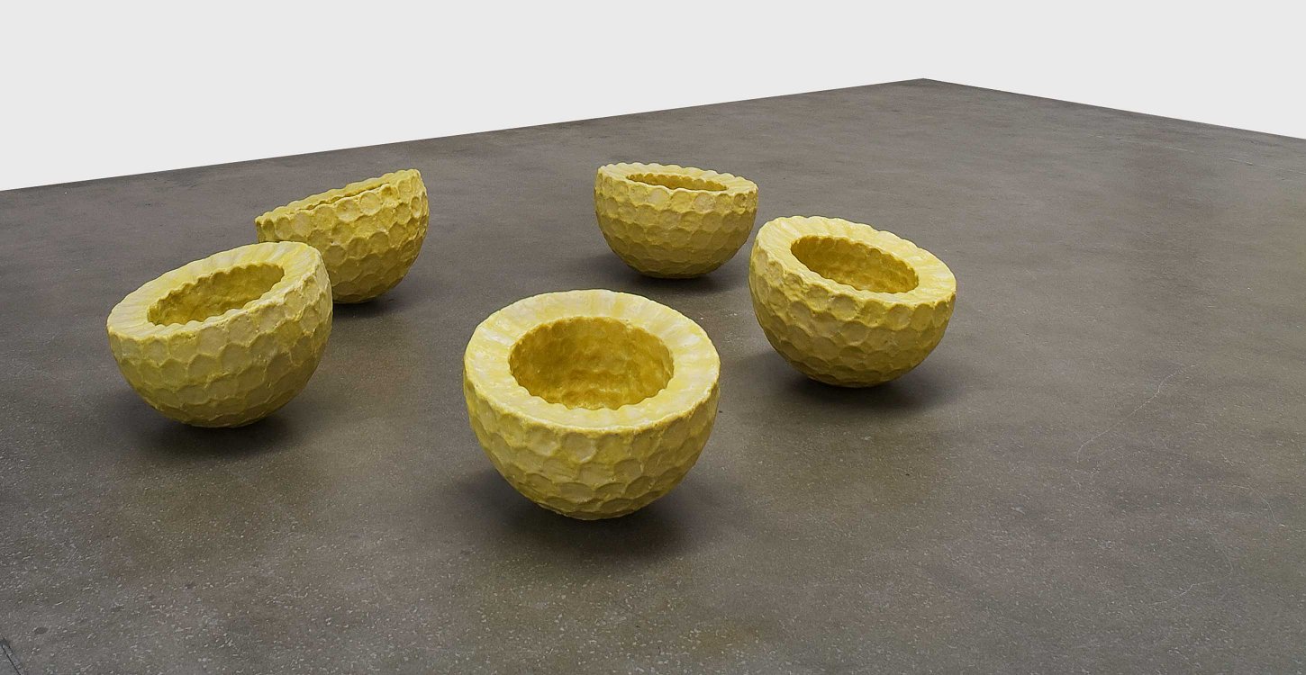 Jeanette Zippel , Wabenbau , Soziales Prinzip 1 , 2002 , 5-teilig , Bienenwachs auf Kartonträger , je 50 cm x 60 cm , Preis auf Anfrage , SüdWestGalerie