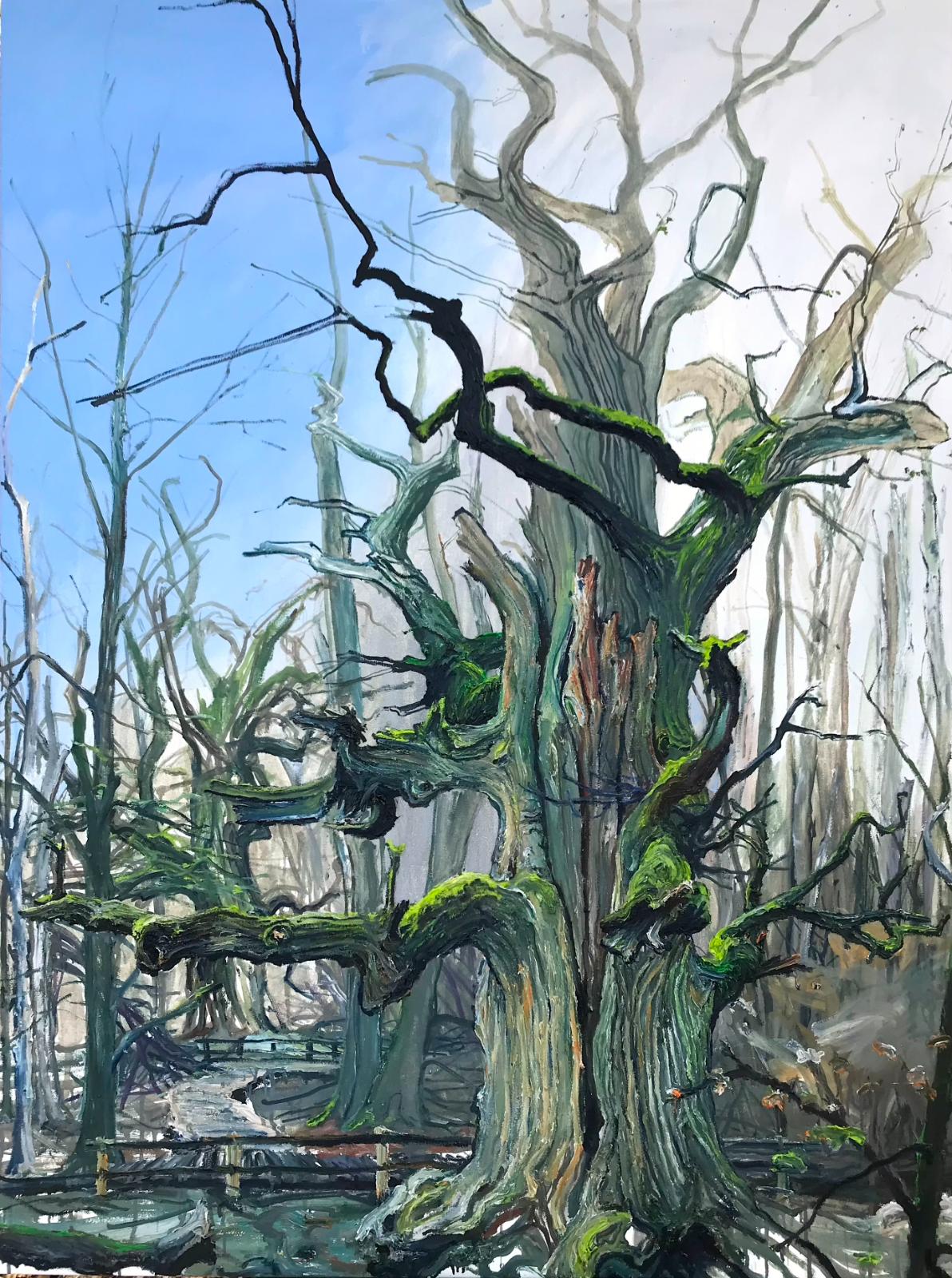 Helge Hommes, DU Baumportrait im Reinhardswald, plein air 5. und 6. April 2019, Öl auf Leinwand, 160 x 120 cm, Preis auf Anfrage