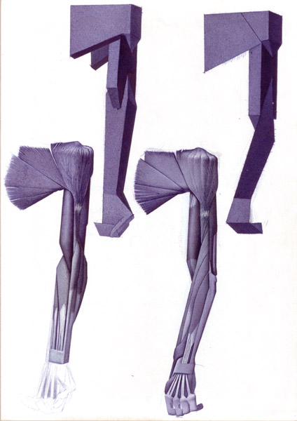 Peter König, Armstudien, 1982-2002, Kugelschreiber auf Papier, 29,7 cm x 21 cm, Buch Seite 61, Preis auf Anfrage, SüdWestGalerie