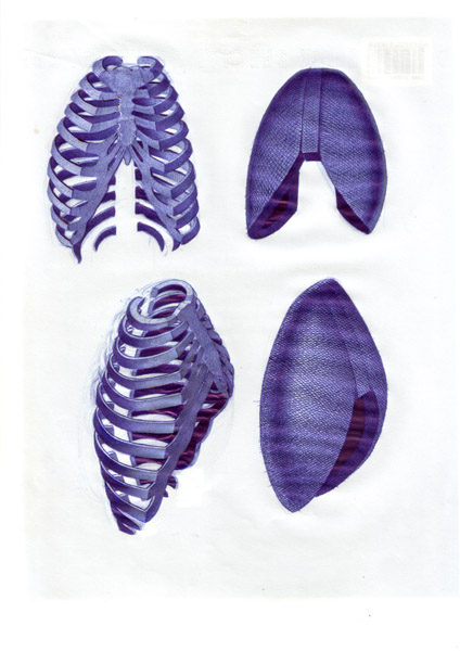 Peter König, Brustkorb, verschiedene Ansichten, 1982-2002, Kugelschreiber auf Papier, 29,7 cm x 21 cm, Buch Seite 25, Preis auf Anfrage, SüdWestGalerie