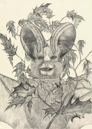 Uta Siebert, Serie Fledertiere (Feldermaus II), 2015, Grafit auf Papier, 70 cm x 50 cm, Preis auf Anfrage, siu022kü