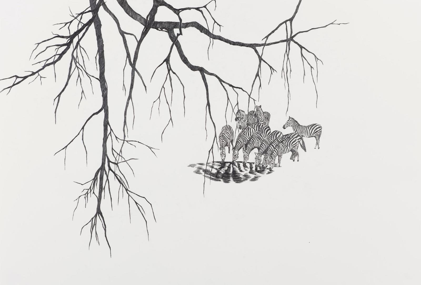 Uta Siebert, Serie Safarie, (Zebras), 2009, Grafit auf Papier, 63 cm x 82 cm, Preis auf Anfrage, siu006kü