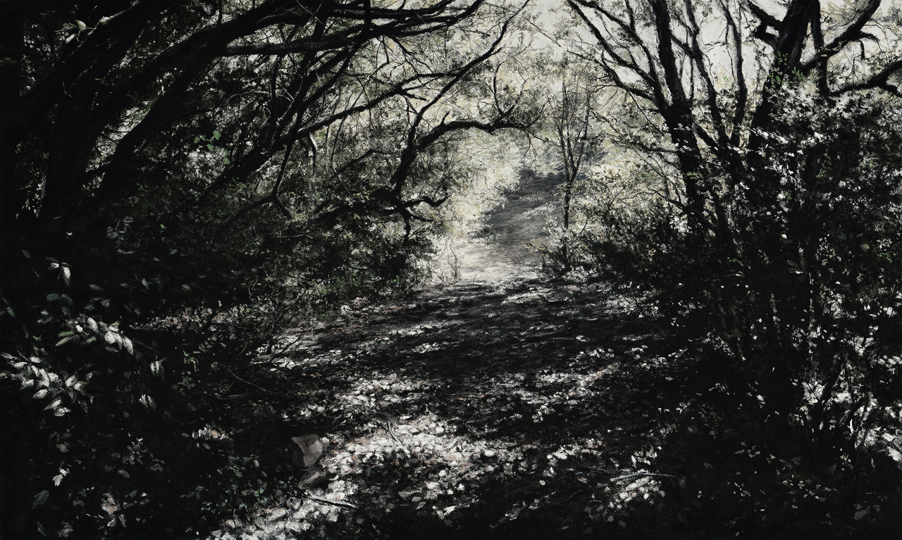 Gerlinde Zantis, Dépt 07/Bois d’Organc VI, 2017, Pastell , 60 x 100 cm, Preis auf Anfrage, SÜDWESTGALERIE