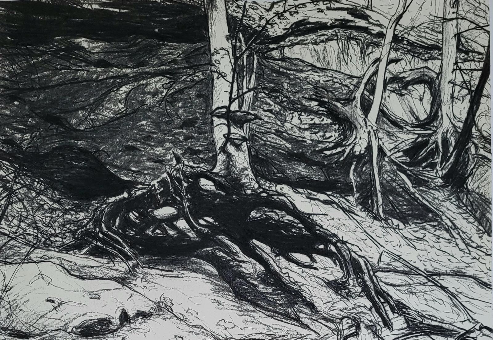 Helge Hommes, Sächsische Schweiz, Hohenstein, 2016, Kohlezeichnung, 42 x 59 cm, Preis auf Anfrage, Galerie Cyprian Brenner