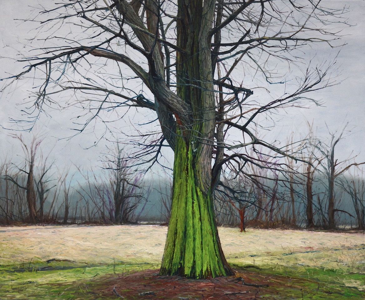 Helge & Saxana, Baumportrait Nr. 3, DU - Auch im Winter trägst Du Dein grünes Kleid, das ich nicht vergessen will, Öl auf Leinwand, 89 cm x 109 cm, Preis auf Anfrage, Galerie Cyprian Brenner