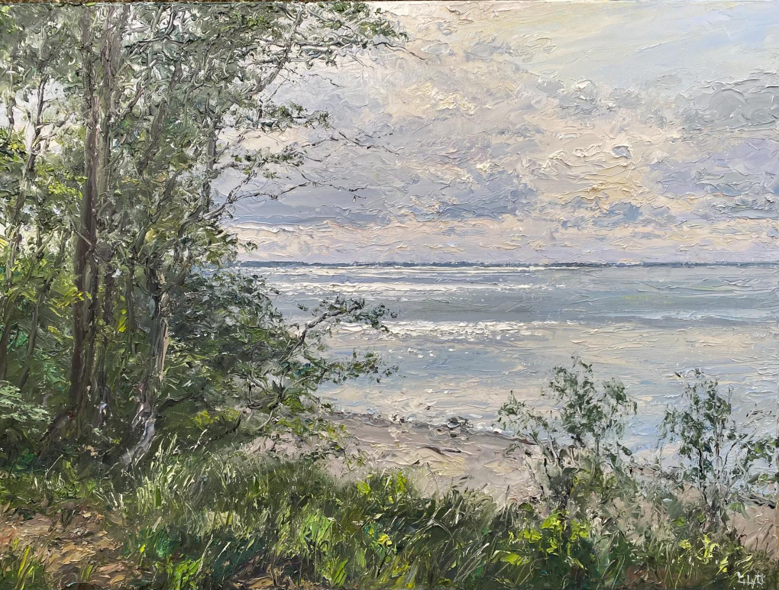 Peter Witt, Steilküste bei Groß Schwansee, 202622000899, 2026, Öl auf Leinwand, 60 cm x 80 cm, Preis auf Anfrage, Galerie Cyprian Brenner
